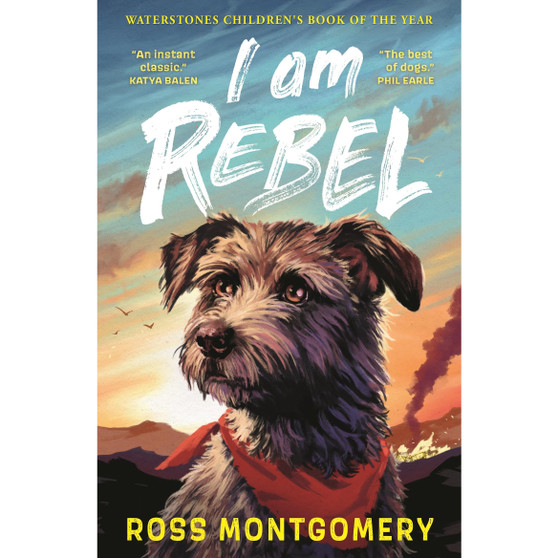 I am rebel - ISBN 9781529502909