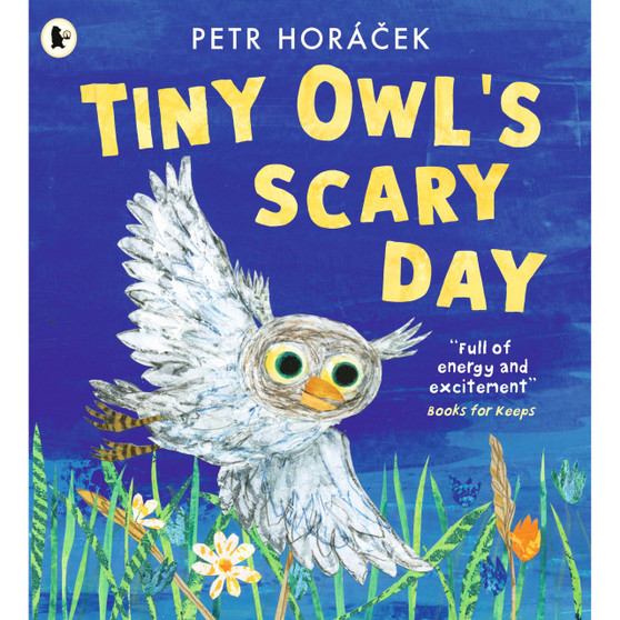 Tiny Owls Scary Day - ISBN 9781529517194