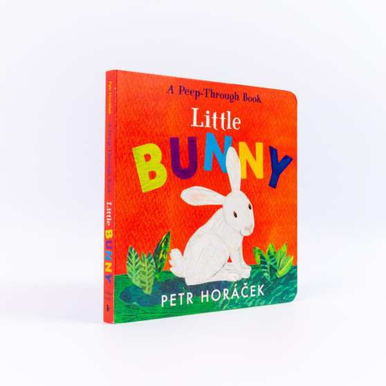 Little Bunny - ISBN 9781529517354