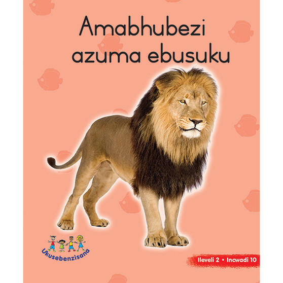 Hand in Hand Grade R (Ndebele) Picture Book Level 2 Book 10 - ISBN 9780796078636