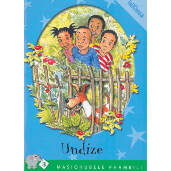 Masiqhubele Phambili Series Level 3 Book 2 Undize - ISBN 9780796017772