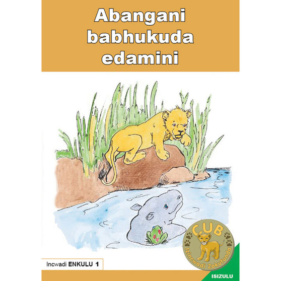 Big Book (Zulu) 1: Abangani Babhukuda Edamini - ISBN 9780796032799