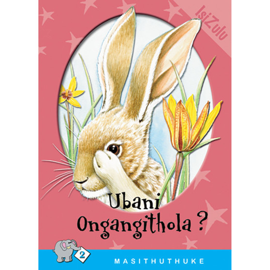 Masithuthuke Series Level 2 Book 3 Ubani Ongangithola - ISBN 9780796017482