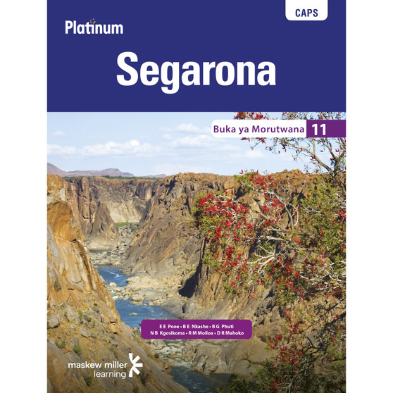 Platinum Segarona Grade 11 Learner's Book - ISBN 9780636091221