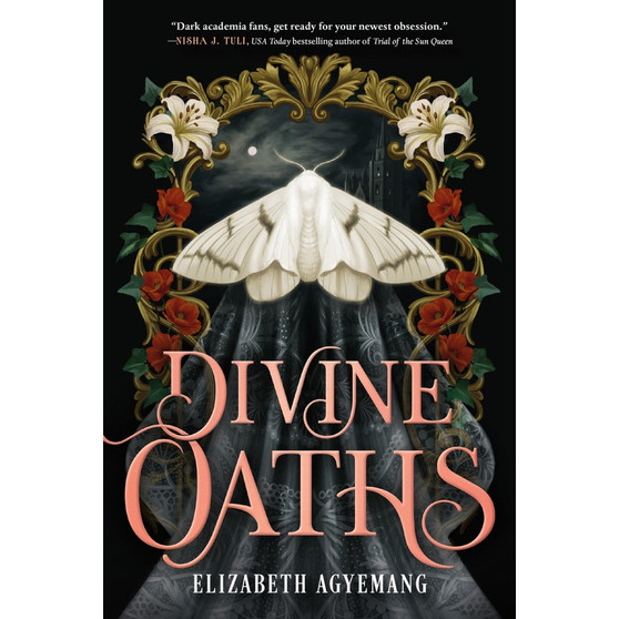 Divine Oaths - ISBN 9780316605816