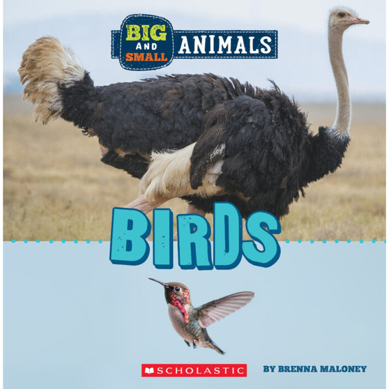 Big and Small: Birds - ISBN 9781338853513