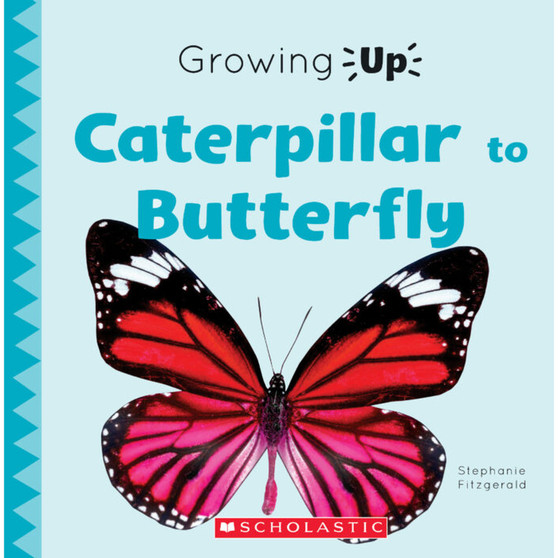 Caterpillar to Butterfly (Growing Up) (Paperback) - ISBN 9780531137086