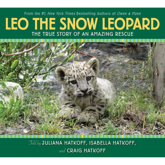 Leo the Snow Leopard - ISBN 9780545229272