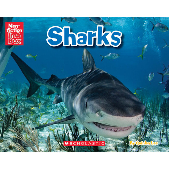 Sharks in a Box - ISBN 9780545751810