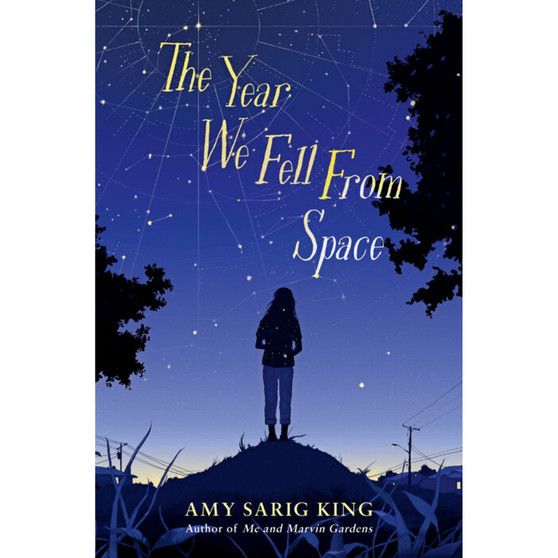 The Year We Fell From Space (Hardback) - ISBN 9781338236361