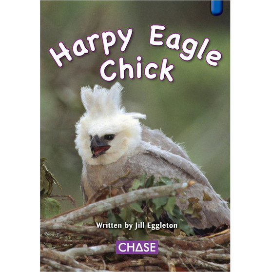 Key Links - Harpy Eagle Chick: Level 11/Blue - ISBN 9780702190902