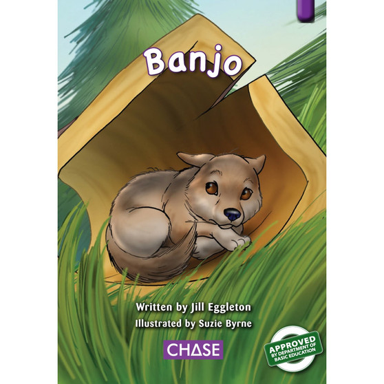 Key Links - Banjo (FAL): Levels 19-20/Purple - ISBN 9780702192159