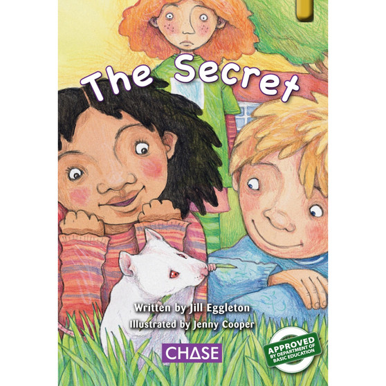 Key Links - The Secret (HL): Levels 21-22/Gold - ISBN 9780702192005
