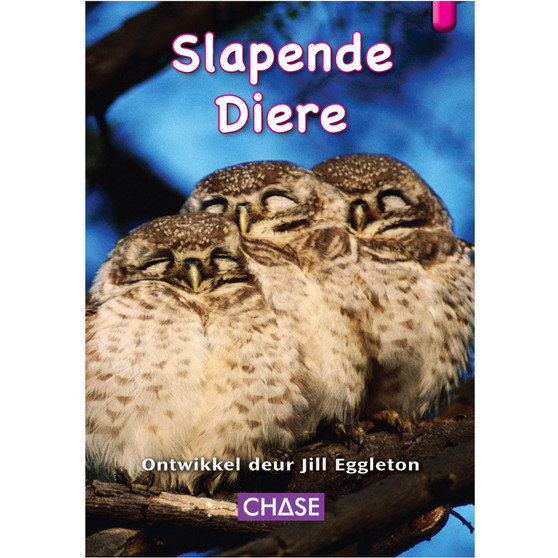 Key Links - Slapende diere: Level 01/Magenta - ISBN 9781485110002
