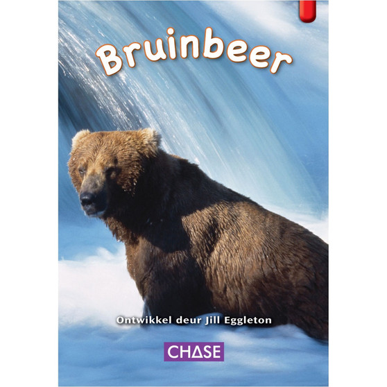Key Links - Bruin Beer: Level 04/Red - ISBN 9781485103059