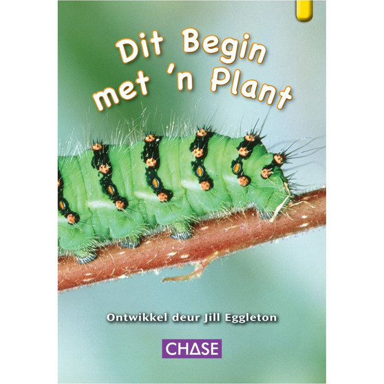 Key Links - Dit Begin met 'n Plant: Level 07/Yellow - ISBN 9781485103240