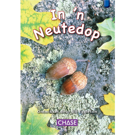 Key Links - In 'n Neutedop: Level 09/Blue - ISBN 9781485110200