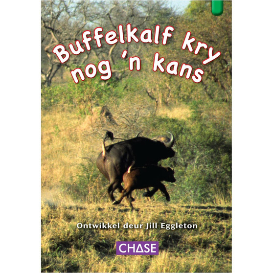 Key Links - Buffelkalf kry nog 'n kans: Level 14/Green - ISBN 9781485103844