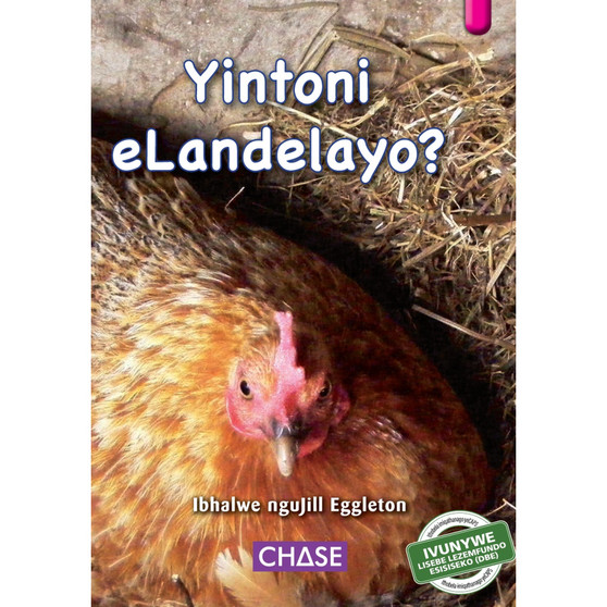 Key Links - Yintoni eLandelayo (What Next?): Level 01/Magenta - ISBN 9781928531838