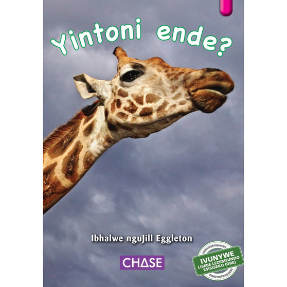Key Links - Yintoni ende? (What is Long): Level 01/Magenta - ISBN 9781928531869