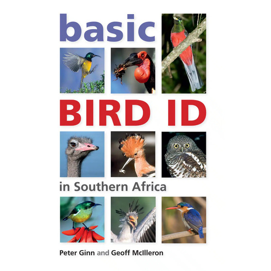 Basic Bird ID in Southern Africa - ISBN 9781770078628