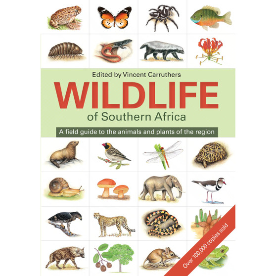 The Wildlife of Southern Africa - ISBN 9781775843535