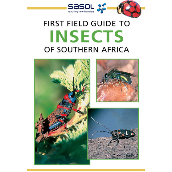 Sasol First Field Guide to Insects of Southern Africa - ISBN 9781775844341