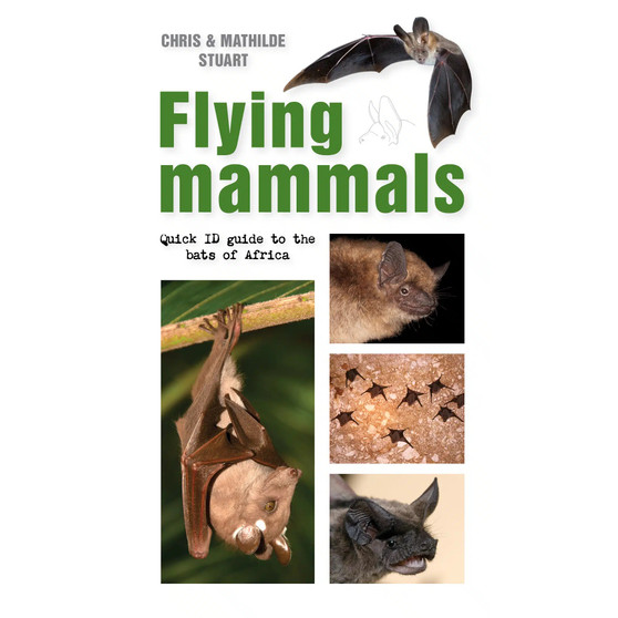 Flying Mammals: Quick ID Guide to the Bats of Africa - ISBN 9781775847281