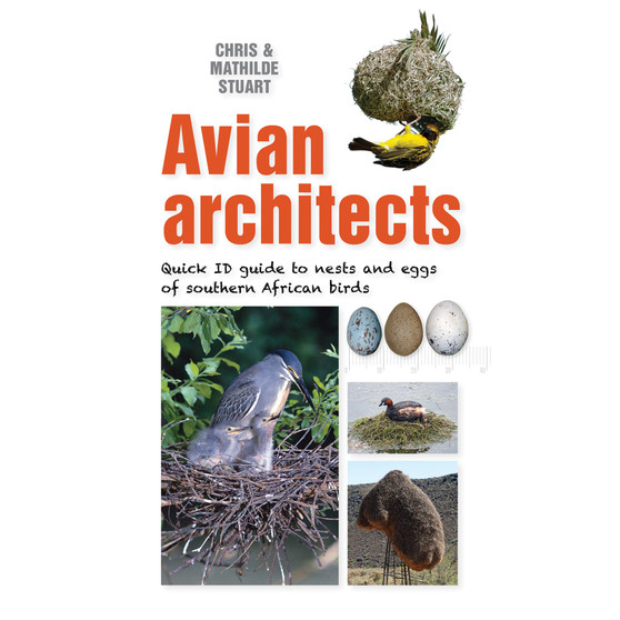 Avian Architects: Quick ID Guide to Nests and Eggs of Southern African Birds - ISBN 9781775847434