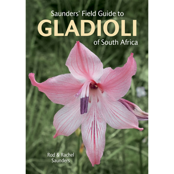 Saunders' Field Guide to Gladioli of South Africa - ISBN 9781775847618