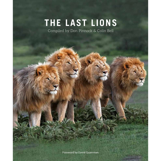 The Last Lions - ISBN 9781775848097