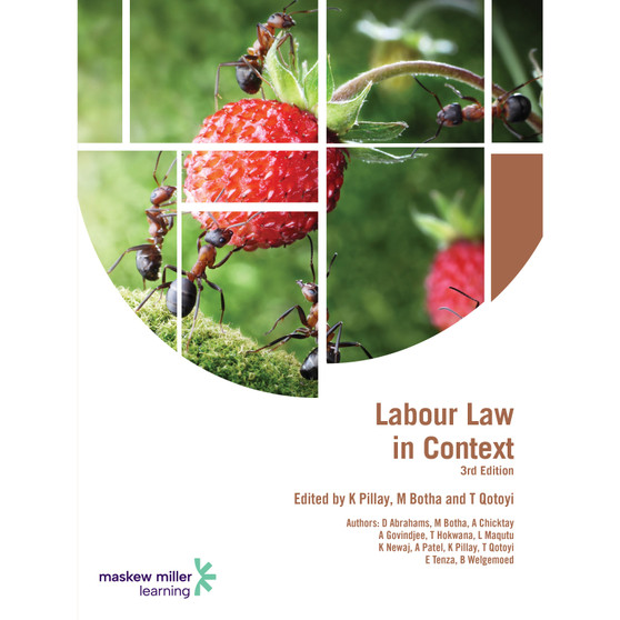 Labour Law in Context (3rd edition) - ISBN 9781779830470