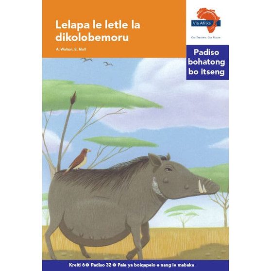 Via Afrika Sesotho Home Language Intermediate Phase Graded Reader 32: Lelapa le letle la dikolobemoru - ISBN 9781415438770