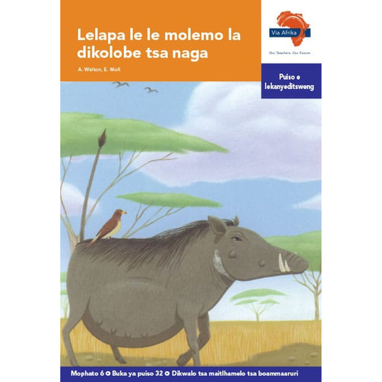 Via Afrika Setswana Home Language Intermediate Phase Graded Reader 32: Lelapa le le molemo la dikolobe tsa naga - ISBN 9781415439135