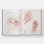 Basic Human Anatomy: An Essential Visual Guide for Artists - ISBN 9781580934381 - view 7