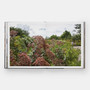 Brooklyn Bridge Park: Michael Van Valkenburgh Associates - ISBN 9781580936170 - view 5
