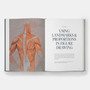 Dynamic Human Anatomy: An Artist's Guide to Structure, Gesture, and the Figure in Motion - ISBN 9781580935517 - view 3