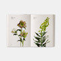 Flower Colour Guide - ISBN 9780714878300 - view 3
