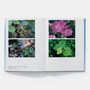 Hans Haacke: All Connected - ISBN 9780714879765 - view 2
