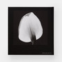 Mapplethorpe Flora: The Complete Flowers - ISBN 9781838668211 - view 1