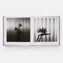 Mapplethorpe Flora: The Complete Flowers - ISBN 9781838668211 - view 8