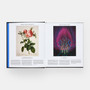 Plant: Exploring the Botanical World (Mini Format) - ISBN 9781837291472 - view 4