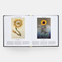 Plant: Exploring the Botanical World (Mini Format) - ISBN 9781837291472 - view 6