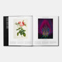 Plant: Exploring the Botanical World - ISBN 9780714871486 - view 4