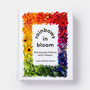 Rainbows in Bloom: Discovering Colours with Flowers - ISBN 9781838662998 - view 1