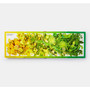 Rainbows in Bloom: Discovering Colours with Flowers - ISBN 9781838662998 - view 4