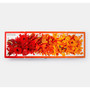 Rainbows in Bloom: Discovering Colours with Flowers - ISBN 9781838662998 - view 5
