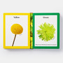 Rainbows in Bloom: Discovering Colours with Flowers - ISBN 9781838662998 - view 6