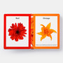Rainbows in Bloom: Discovering Colours with Flowers - ISBN 9781838662998 - view 8