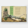 The Tomorrow Tree: How Nature Creates New Life From Old - ISBN 9781837290284 - view 2